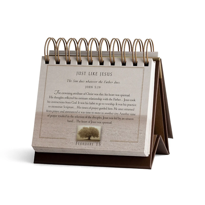 Max Lucado Grace for the Moment 365-Day Perpetual Calendar for only USD 11.99 | Hallmark
