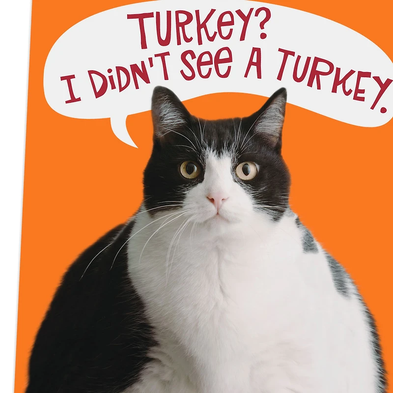 Fat Cat Funny Thanksgiving Card for only USD 3.49 | Hallmark