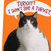 Fat Cat Funny Thanksgiving Card for only USD 3.49 | Hallmark