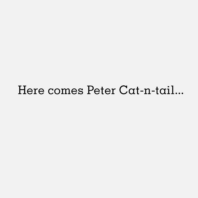 Peter Cat-n-tail Funny Easter Card for only USD 3.69 | Hallmark