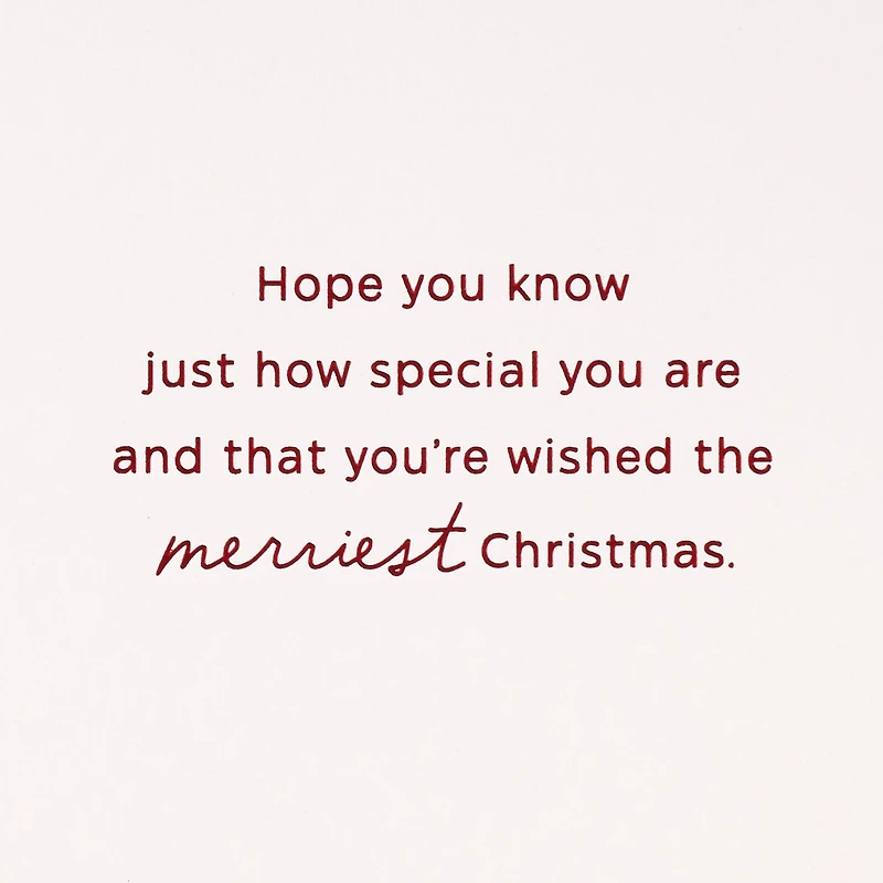 You Are Special Christmas Card for Sister and Brother-in-Law for only USD 4.59 | Hallmark