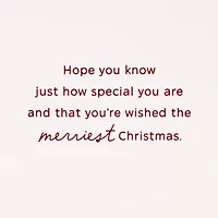 You Are Special Christmas Card for Sister and Brother-in-Law for only USD 4.59 | Hallmark