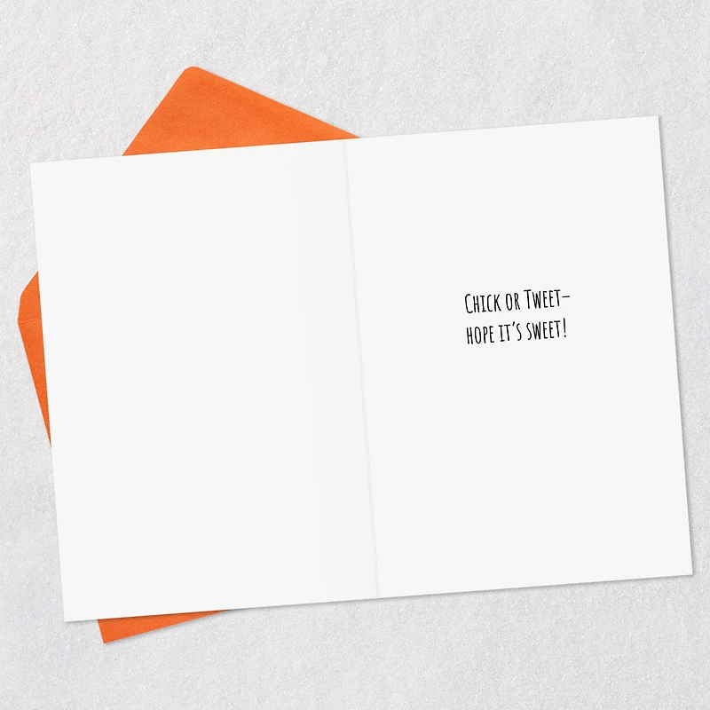 Chick in Witch Hat Funny Halloween Card for only USD 2.00 | Hallmark