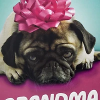 A Pug and a Kiss Funny Mother's Day Card for Grandma for only USD 4.99 | Hallmark