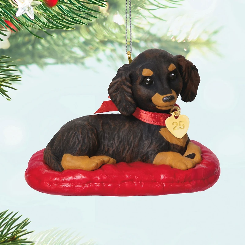 Puppy Love Long-Haired Dachshund 2025 Ornament for only USD 19.99 | Hallmark
