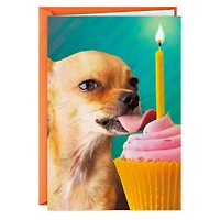 Lick All the Cupcakes Funny Birthday Card for only USD 3.99 | Hallmark