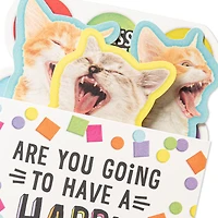 Singing Cats Funny Musical Pop-Up Birthday Card for only USD 7.59 | Hallmark