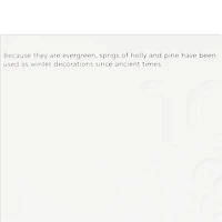 UNICEF Peace and Joy Dove Boxed Christmas Cards, Pack of 12 for only USD 20.50 | Hallmark