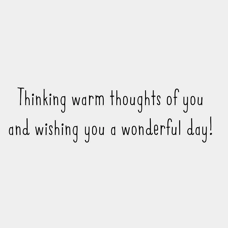 Warm Thoughts of You Thanksgiving Cards, Pack of 6 for only USD 6.99 | Hallmark