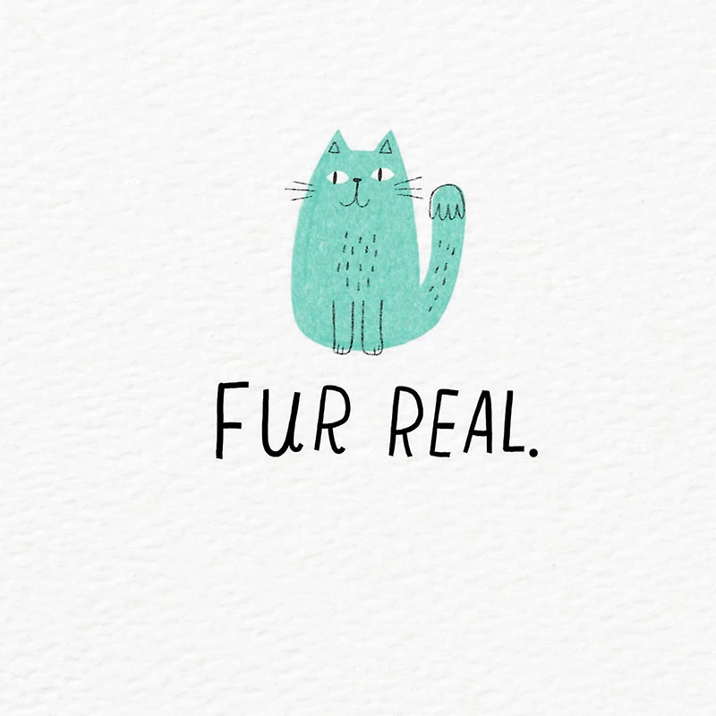 No Better Pet Dad than You Father's Day Card for only USD 3.99 | Hallmark