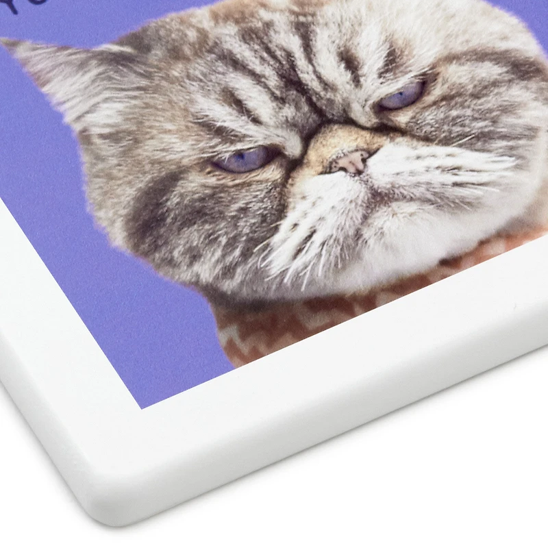 Grumpy Kevin the Cat Photo Funny Coaster for only USD 6.99 | Hallmark