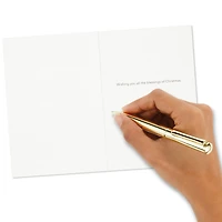 Nativity on Blue Boxed Christmas Cards, Pack of 10 for only USD 24.99 | Hallmark