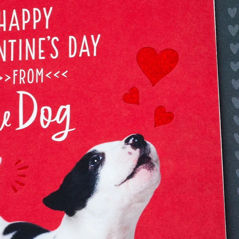 I'm the Luckiest Valentine's Day Card From the Dog for only USD 2.99 | Hallmark