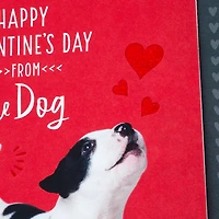 I'm the Luckiest Valentine's Day Card From the Dog for only USD 2.99 | Hallmark