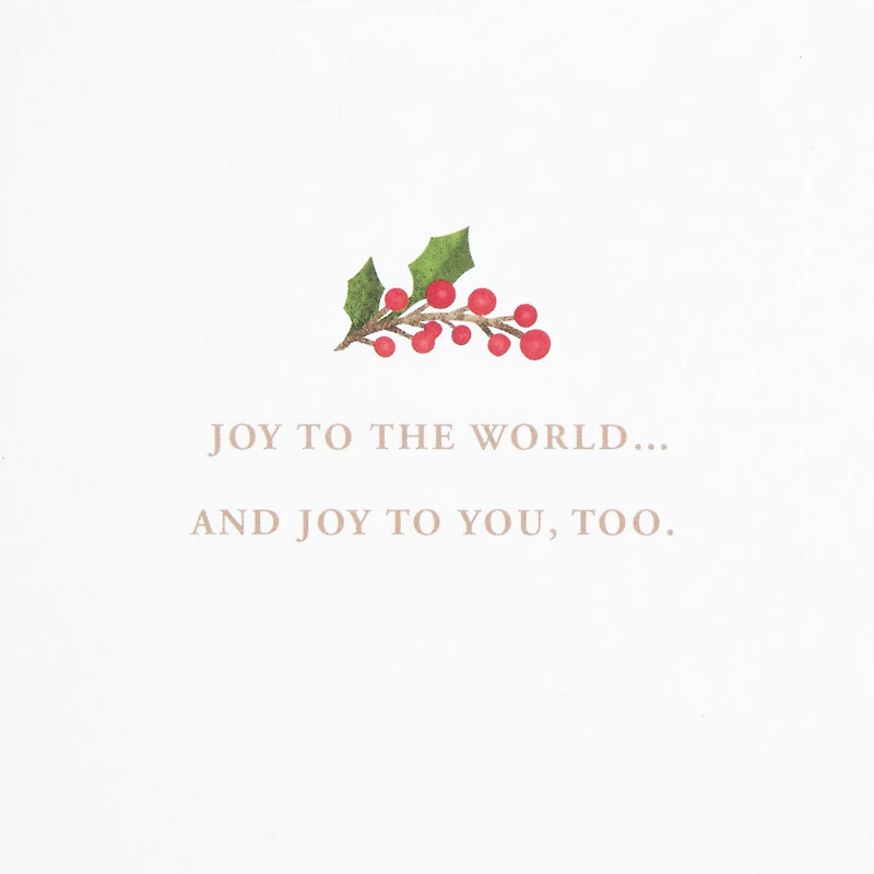 Joy to You Christmas Card for only USD 6.99 | Hallmark