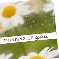 Hope You're Having a Good Day Thinking of You Card for only USD 2.99 | Hallmark