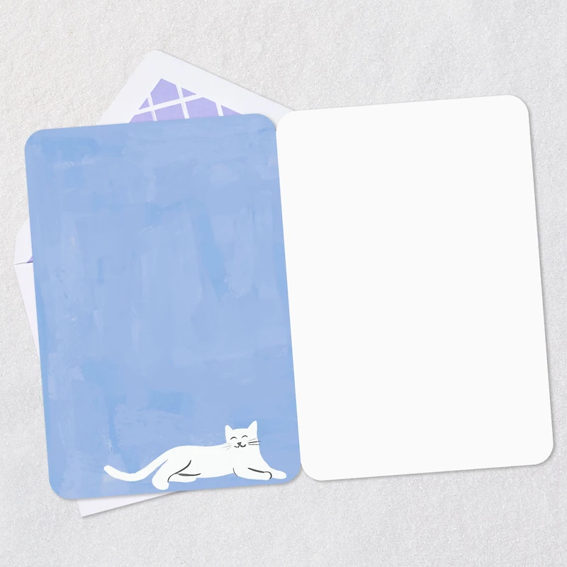 Black and White Cats Blank Card for only USD 2.99 | Hallmark
