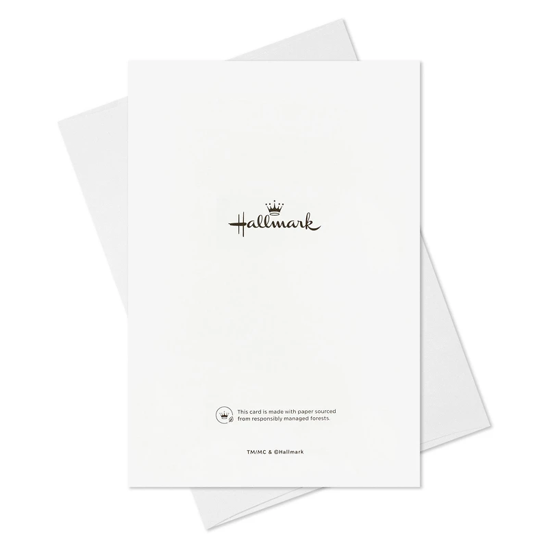 Peaceful Evergreens Boxed Christmas Cards, Pack of 16 for only USD 15.49 | Hallmark