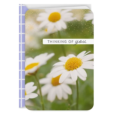 Hope You're Having a Good Day Thinking of You Card for only USD 2.99 | Hallmark
