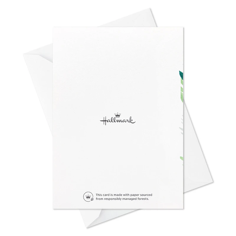 Fern Border Sympathy Thank You Notes, Pack of 10 for only USD 10.49 | Hallmark