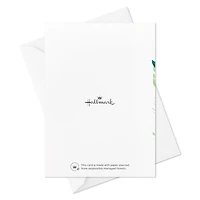 Fern Border Sympathy Thank You Notes, Pack of 10 for only USD 10.49 | Hallmark