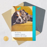 Snoozing Puppy and Kitten Anniversary Card for only USD 4.59 | Hallmark