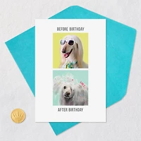 An Extra Day to Recover Funny Birthday Card for only USD 3.99 | Hallmark