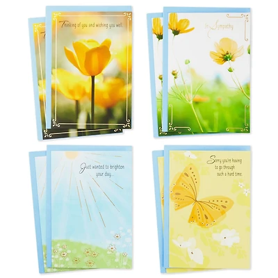 Nature Scenes Assorted Support and Sympathy Cards, Pack of 8 for only USD 7.99 | Hallmark