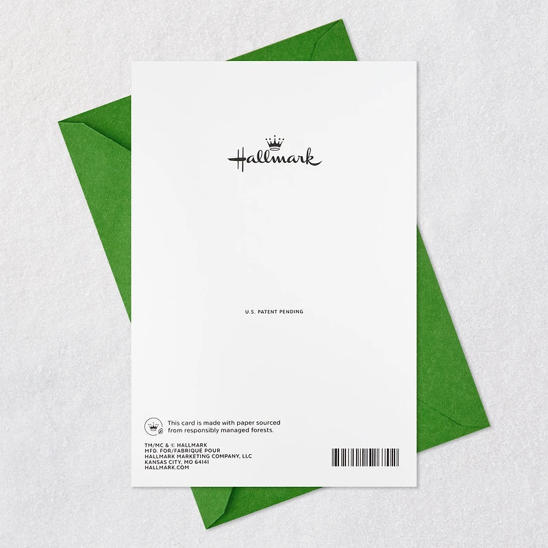 Family Ties Christmas Card for Brother and Sister-and-Law for only USD 5.59 | Hallmark