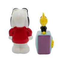 R Squared Peanuts Snoopy and Woodstock Joe Cool Salt and Pepper Shakers, Set of 2 for only USD 19.99 | Hallmark