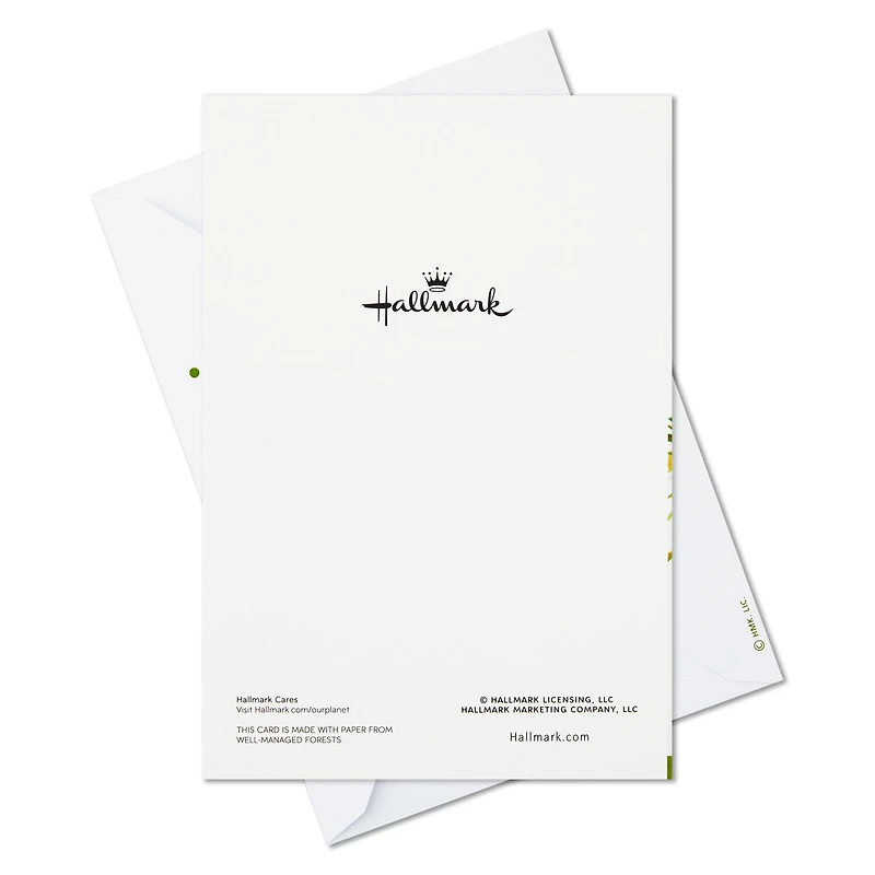 Wreath and Pine Branch Boxed Christmas Cards With Seals, Pack of 40 for only USD 18.99 | Hallmark