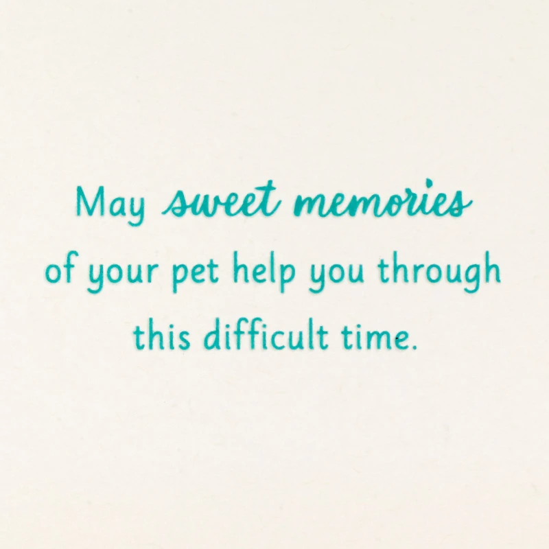 Pets Never Leave Our Hearts Sympathy Card for only USD 2.99 | Hallmark