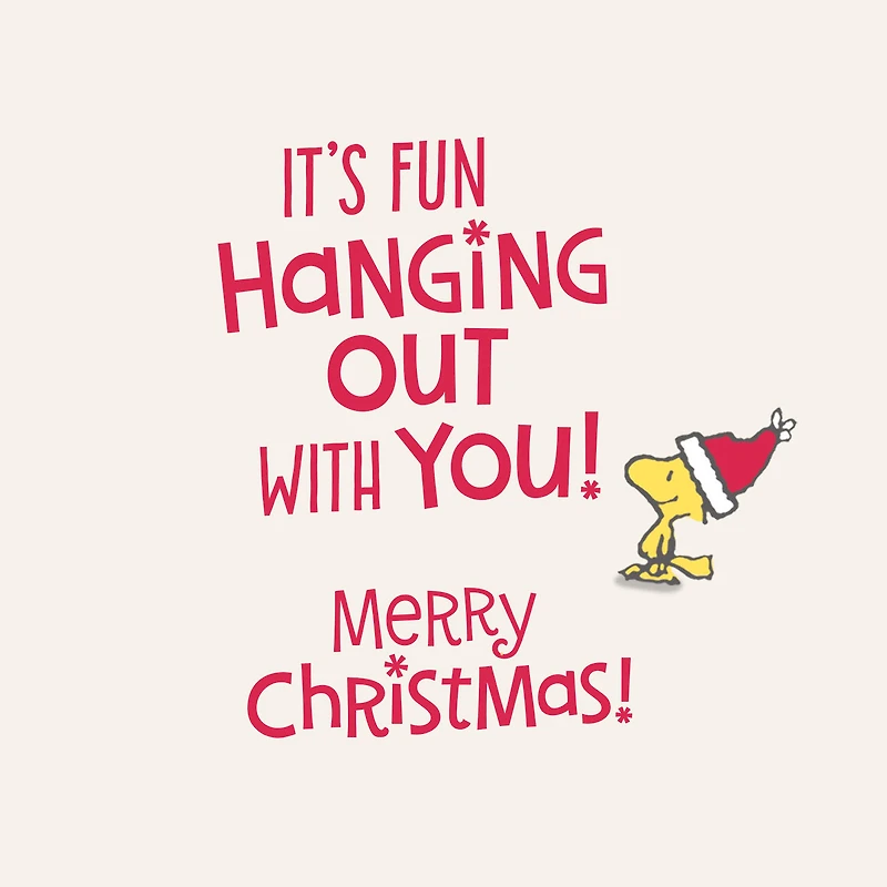 Peanuts® Snoopy and Woodstock in Stockings Funny Christmas Card for only USD 2.00 | Hallmark