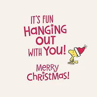 Peanuts® Snoopy and Woodstock in Stockings Funny Christmas Card for only USD 2.00 | Hallmark