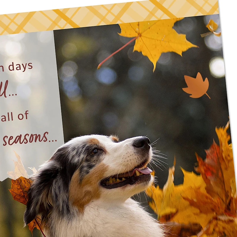 Thankful Through All Seasons Thanksgiving Card for only USD 2.99 | Hallmark