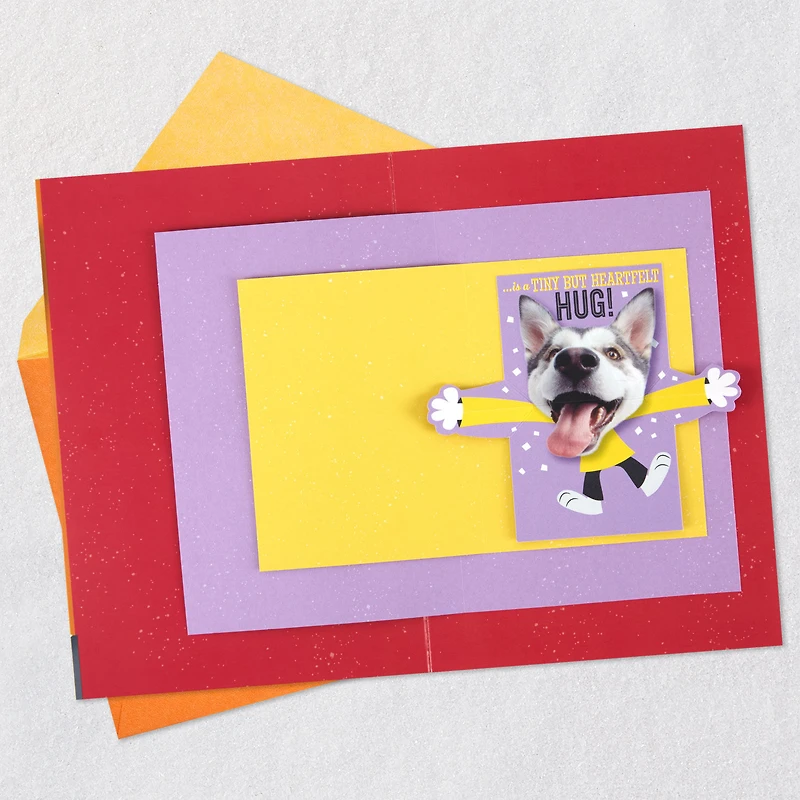 Hugging Dog Pop-Up Birthday Card With Mini Cards for only USD 6.59 | Hallmark
