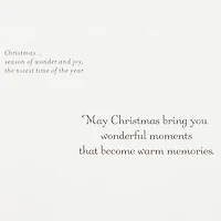 Thomas Kinkade Santa and Sleigh Boxed Christmas Cards, Pack of 16 for only USD 15.49 | Hallmark