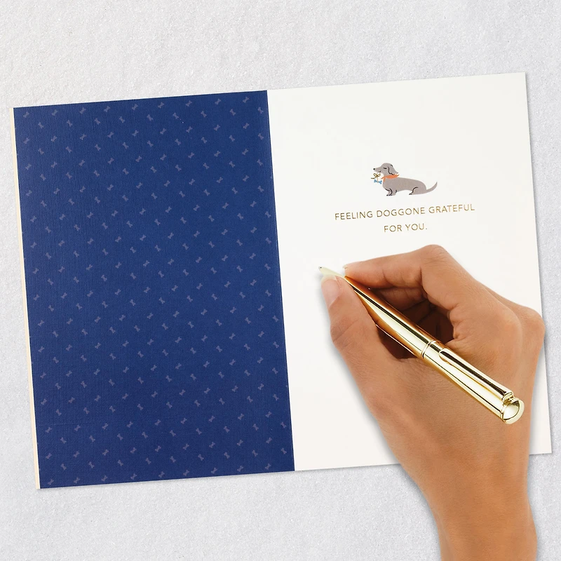 Doggone Grateful for You Father's Day Card for only USD 7.59 | Hallmark