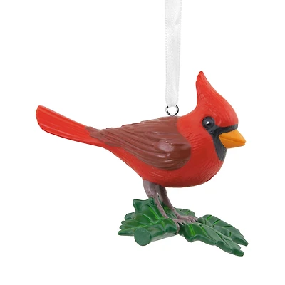 Cardinal Bird Hallmark Ornament for only USD 14.99 | Hallmark