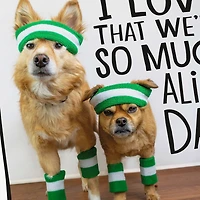 So Close to Perfect Funny Father's Day Card for Dad for only USD 3.99 | Hallmark