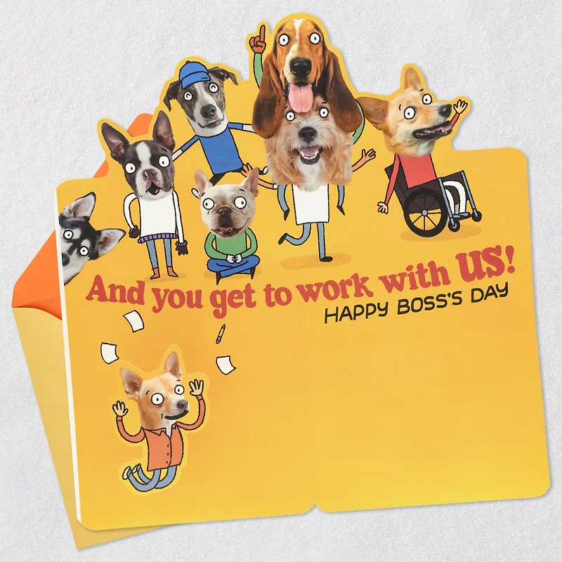 You've Got It Made Funny Pop-Up Boss's Day Card for only USD 5.59 | Hallmark