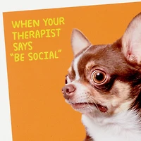 Scared Chihuahua Photo Funny Coaster for only USD 6.99 | Hallmark