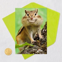Grinning Chipmunk Funny Congratulations Card for only USD 3.99 | Hallmark