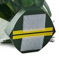 Build-a-Bouquet Monstera Pop-Up Paper Plant for only USD 9.99 | Hallmark