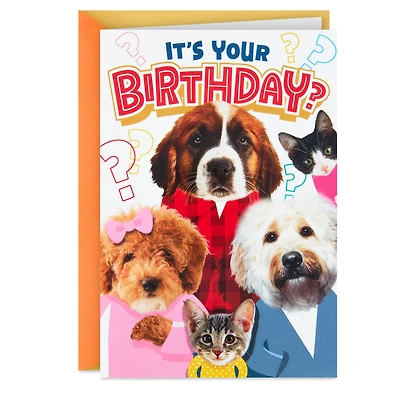 Round of Appaws Pop-Up Birthday Card for only USD 4.59 | Hallmark