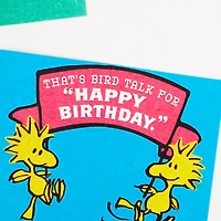 Peanuts® Charlie Brown Wonderful You Funny Birthday Card With Mini Cards for only USD 5.99 | Hallmark