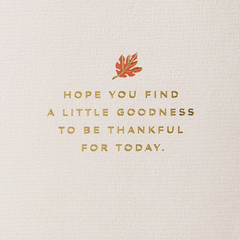 Season of Gratitude Thanksgiving Card for only USD 5.99 | Hallmark