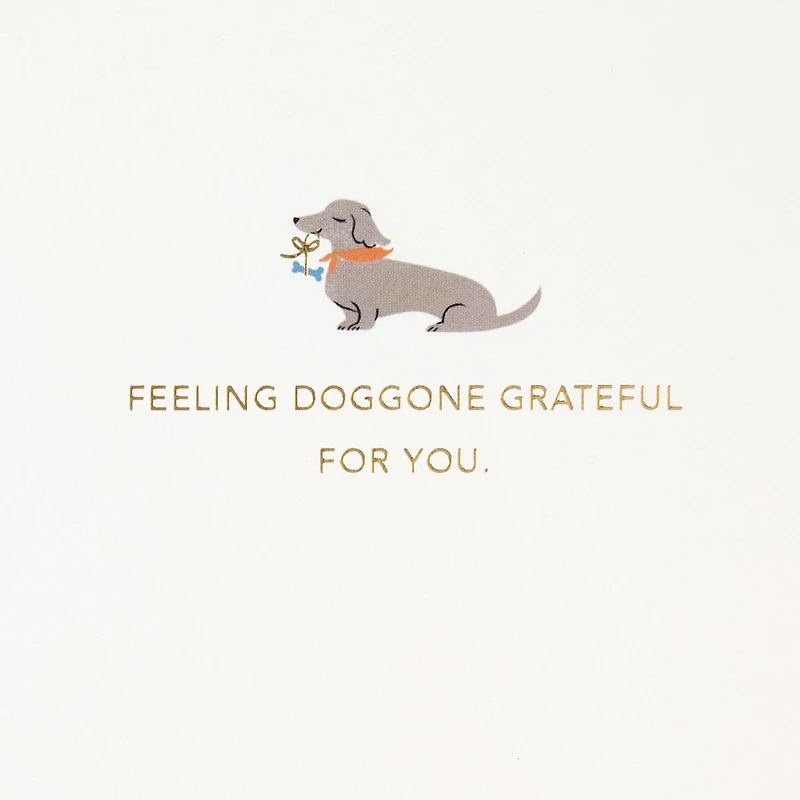 Doggone Grateful for You Father's Day Card for only USD 7.59 | Hallmark