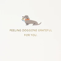 Doggone Grateful for You Father's Day Card for only USD 7.59 | Hallmark