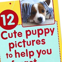 Puppy Pics to Help Forget Getting Older Birthday Card for only USD 4.99 | Hallmark